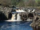 Low Force